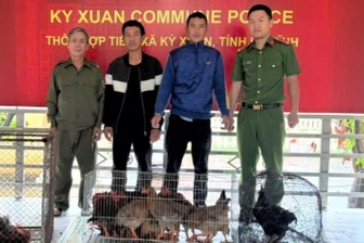 Đôi bạn nhậu rủ nhau trộm cắp 24 con gà