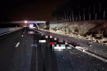 Đạp xe vào cao tốc lượm ve chai, người đàn ông bị xe tải tông tử vong