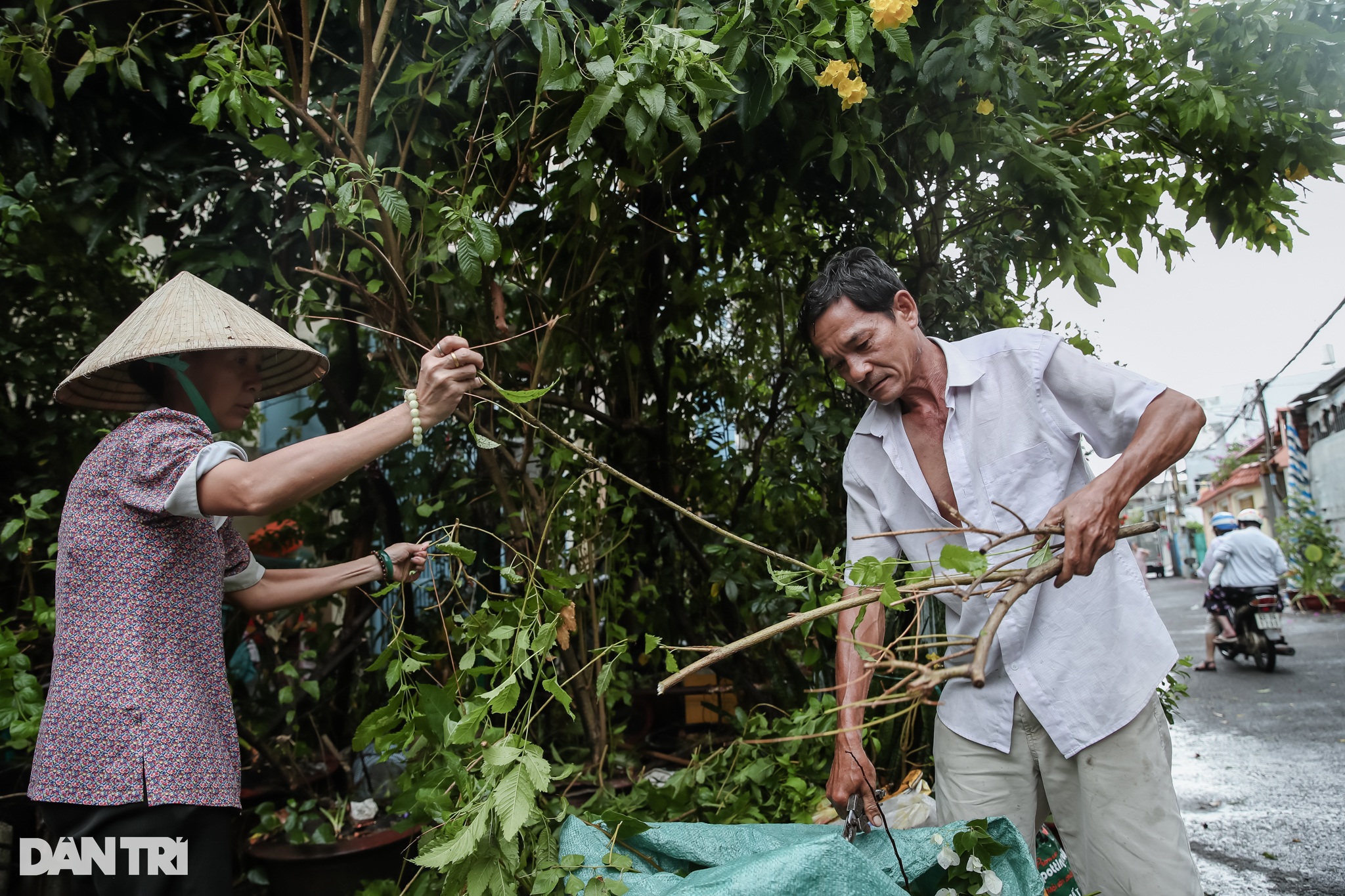 Cây xanh ngã đổ, hàng quán ngổn ngang sau cơn mưa giông ở TPHCM - 13