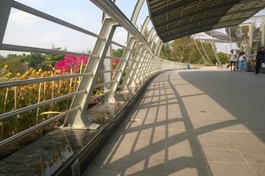 Cần Thơ cắt hết khóa tình yêu trên cầu đi bộ 50 tỷ