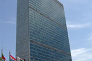 Liên Hiệp Quốc "sửa nhà"