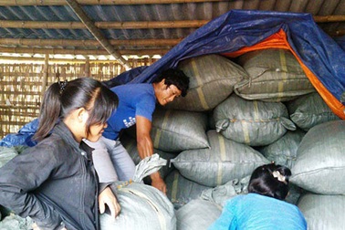 Dược liệu Trung Quốc bao sân