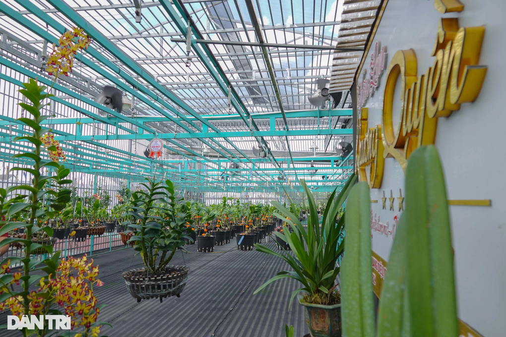 8X Tây Đô kiếm bộn tiền mỗi tháng nhờ cất nhà lầu nuôi hoa - 8 8X Tây Đô kiếm bộn tiền mỗi tháng nhờ cất nhà lầu nuôi hoa - 8