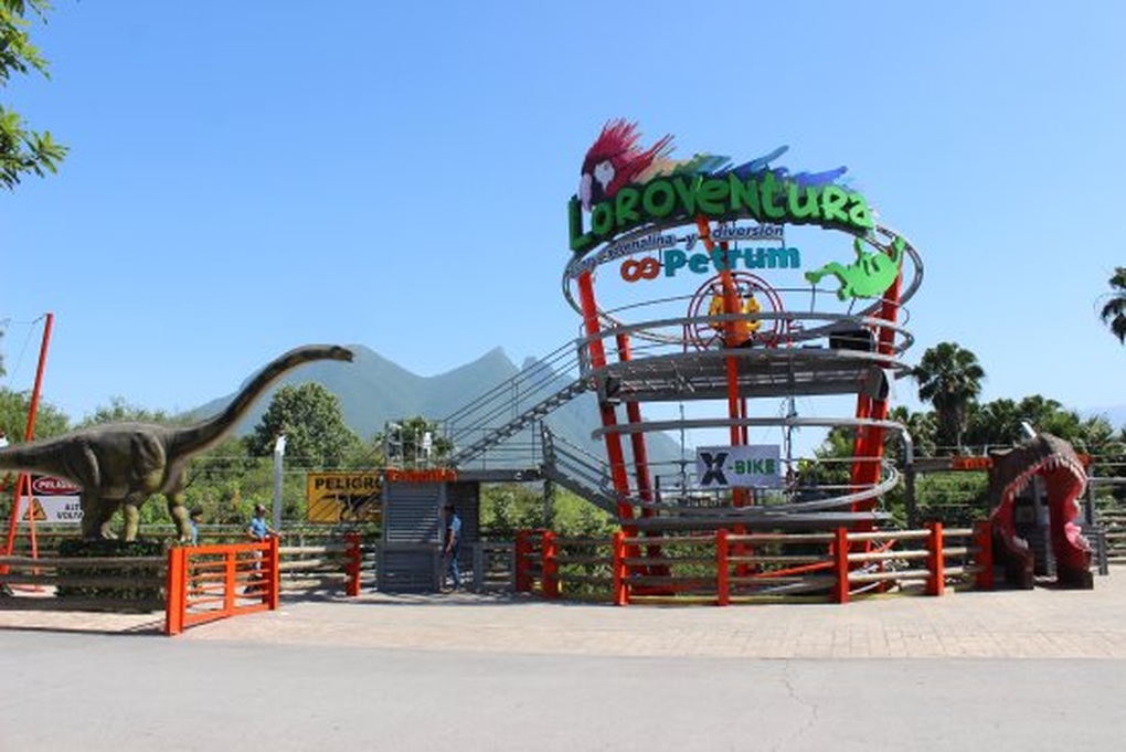 Mexico: Thót tim bé trai rơi từ độ cao 12m xuống dưới khi đu dây mạo hiểm - 2