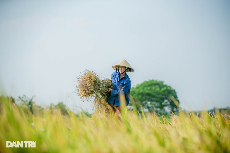 Những hình ảnh khiến người con xứ Nghệ xa xứ bồi hồi nhớ nhung - 1 Những hình ảnh khiến người con xứ Nghệ xa xứ bồi hồi nhớ nhung - 1