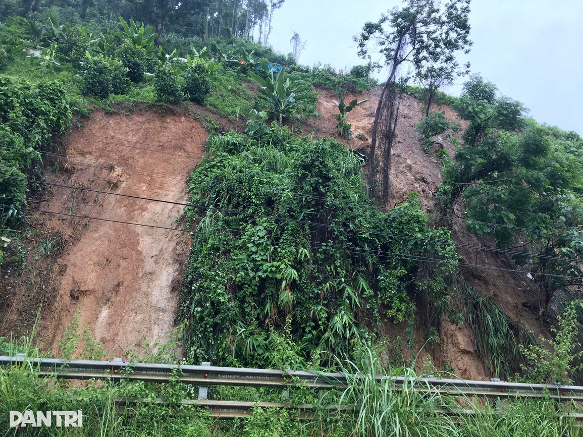 Lũ lớn trên thượng nguồn sông Hồng nhấn chìm nhiều cây trái, hoa màu - 2