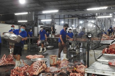Xả thải vượt quy định gấp 3 lần, lò mổ lớn nhất Đà Nẵng bị phạt nặng