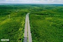 TPHCM gìn giữ khu dự trữ sinh quyển, làm công viên rừng ngập mặn Cần Giờ