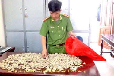 Bắt vụ tàng trữ gần 700 móng vuốt hổ?