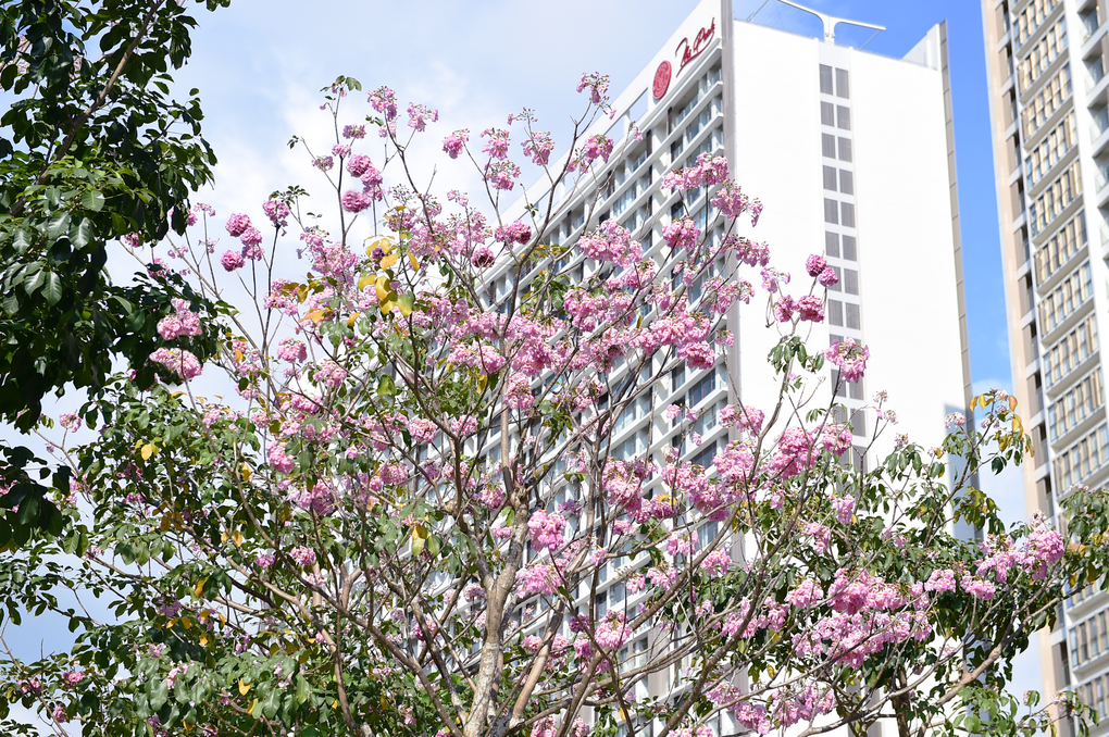 Phú Mỹ Hưng: 30 năm theo đuổi một cam kết - 2 Phú Mỹ Hưng: 30 năm theo đuổi một cam kết - 2