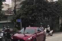 Kính lái ô tô liệu có dễ bị đạp vỡ?