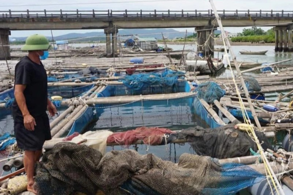 Xả thải bẩn, 2 công ty chế biến hải sản bị phạt gần một tỷ đồng - 2 Xả thải bẩn, 2 công ty chế biến hải sản bị phạt gần một tỷ đồng - 2