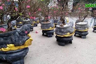 Độc đáo “chuột đá cõng đào bonsai” giá bạc triệu hút khách dịp tết