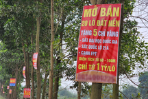 Nối sóng chung cư, giá đất nền có "nhân đôi, nhân ba"?