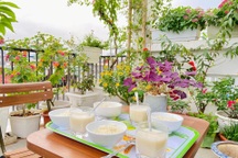 Mẹ đảm Hải Phòng "đưa quê về phố", làm vườn hoa thơ mộng "trên nóc nhà"