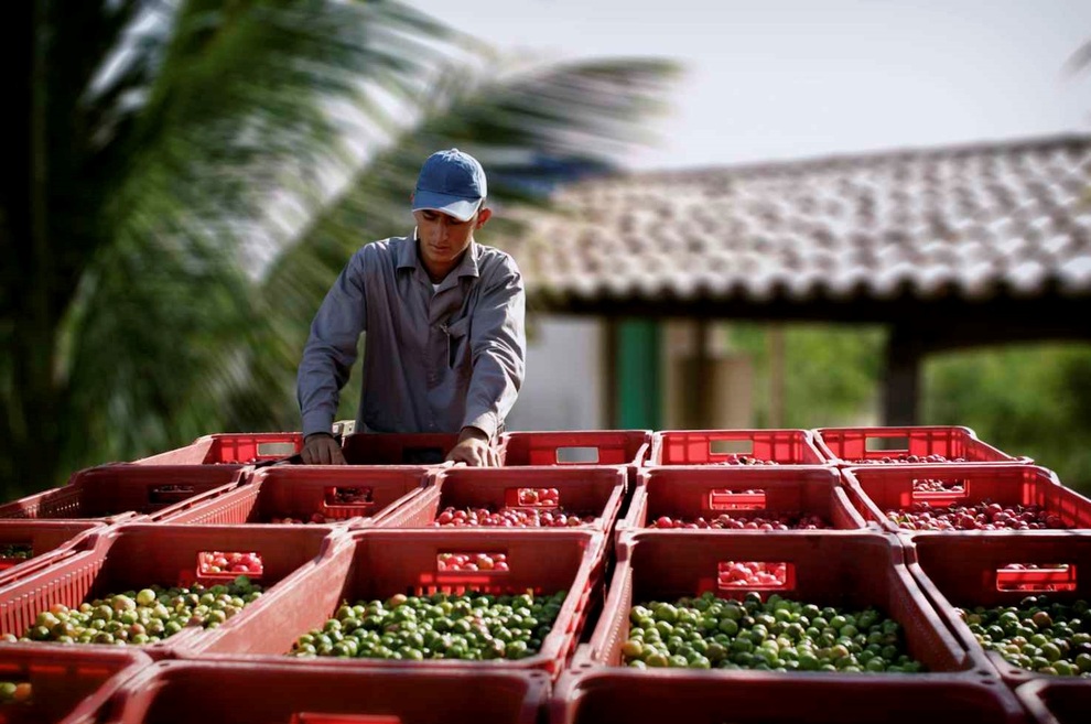 Thấy gì trong nông trại hữu cơ làm nên những sản phẩm Amway chất lượng? - 3 Thấy gì trong nông trại hữu cơ làm nên những sản phẩm Amway chất lượng? - 3