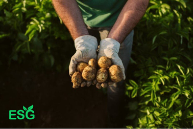 3 cách để PepsiCo lọt danh sách 12 công ty hàng đầu thế giới về ESG