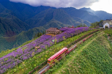 Khi những cái tên mới trở thành biểu tượng