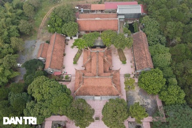 Ngôi chùa cổ nghìn năm tuổi nằm lọt thỏm giữa đồi thông ở Hà Nội