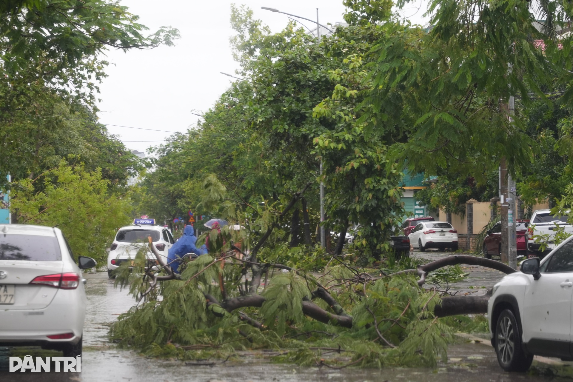 Khung cảnh tan hoang ở thành Vinh sau bão Kajiki - 10 Khung cảnh tan hoang ở thành Vinh sau bão Kajiki - 10