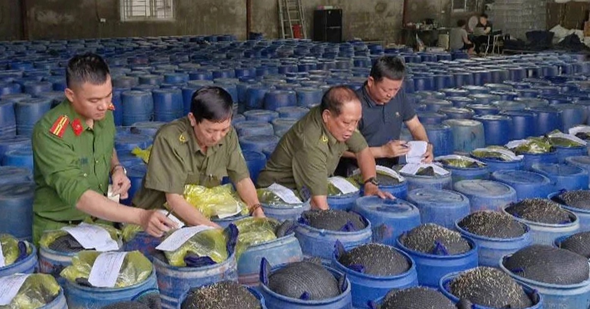 3.500 tấn giá đỗ ngâm "nước kẹo" được bán ra thị trường ở Nghệ An