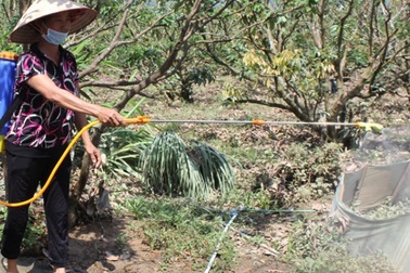 TP Bắc Giang có nhiều ca sốt xuất huyết nhất tỉnh