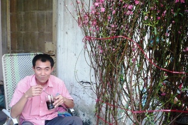 Buồn lòng đào Tết vào Nam