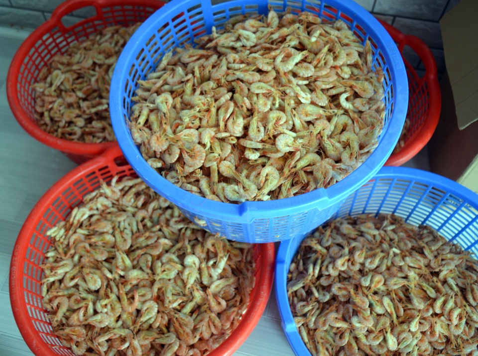 Cà Mau: Đắt như tôm khô! - 3 Cà Mau: Đắt như tôm khô! - 3