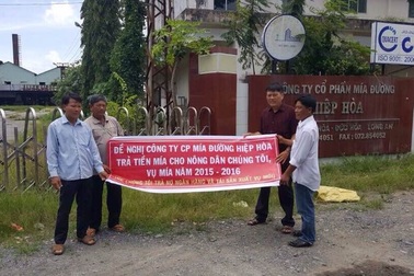 Nông dân khốn đốn vì công ty mía đường nợ 3,4 tỷ đồng mà không trả