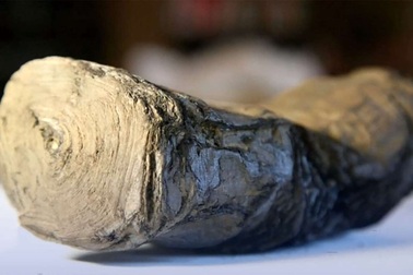 Cuộn giấy bí ẩn của Julius Caesar lần đầu tiên có thể được giải mã