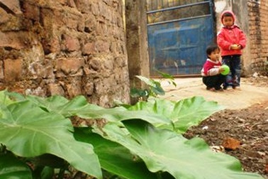 Những gánh hàng rong đi vào miền thơ ấu