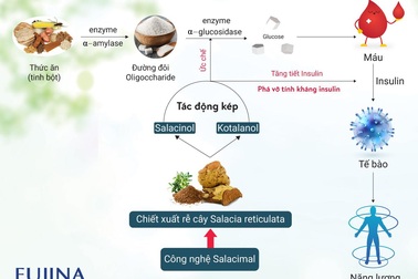 Công nghệ Salacimal - Bước tiến mới trong hỗ trợ ổn định đường huyết
