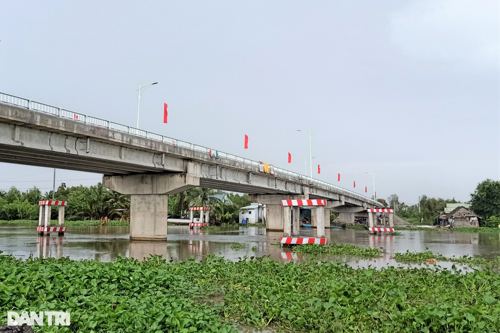 Khánh thành cây cầu mơ ước trăm năm nối liền Bạc Liêu - Hậu Giang - 2 Khánh thành cây cầu mơ ước trăm năm nối liền Bạc Liêu - Hậu Giang - 2