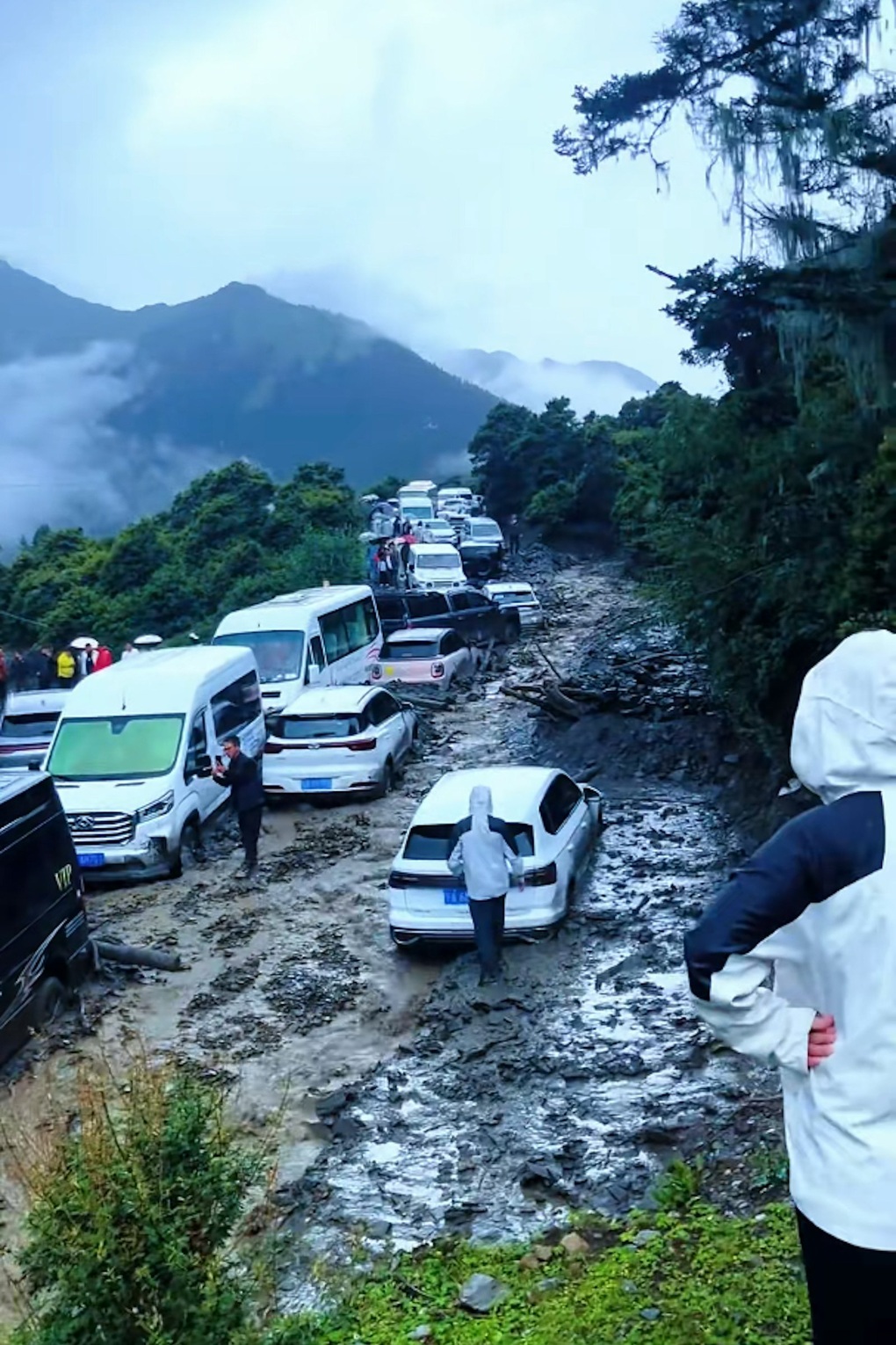 “Thiên đường hạ giới” Cửu Trại Câu chìm trong lũ, khách tháo chạy trong đêm - 2