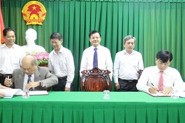 Xuất khẩu rơm sang Nhật Bản