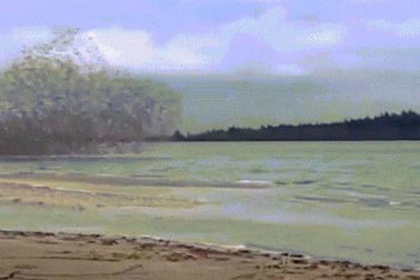 Kinh ngạc đàn chim bay như sóng lớn đập bờ bị dội ngược