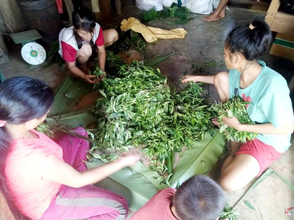 Đồng bào vùng cao góp rau củ quả, hướng về đồng bằng cùng chống dịch - 2 Đồng bào vùng cao góp rau củ quả, hướng về đồng bằng cùng chống dịch - 2