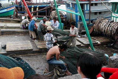 Thành lập Nghiệp đoàn nghề cá để bảo vệ quyền lợi chủ tàu và ngư dân