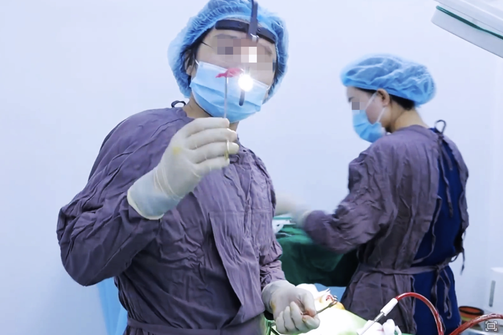 Bác sĩ thẩm mỹ Hồ Phi Nhạn lại bị xử phạt vì nhiều sai phạm ở TPHCM - 1 Bác sĩ thẩm mỹ Hồ Phi Nhạn lại bị xử phạt vì nhiều sai phạm ở TPHCM - 1