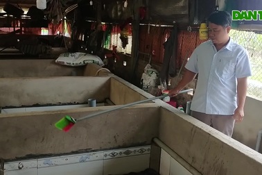 Mô hình nuôi lươn không bùn cho thu nhập cao