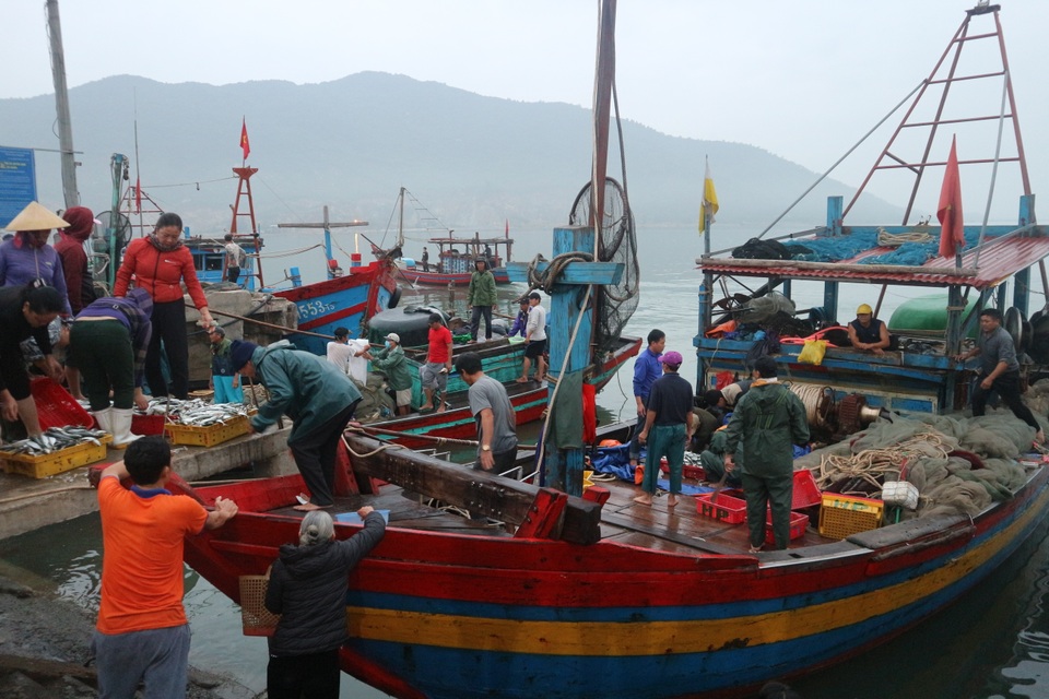 Vươn khơi ngày Rằm tháng Giêng, ngư dân trúng lộc biển - 1 Vươn khơi ngày Rằm tháng Giêng, ngư dân trúng lộc biển - 1