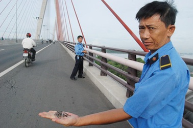 “Đinh tặc” rải sắt nhọn trên cầu Cần Thơ 