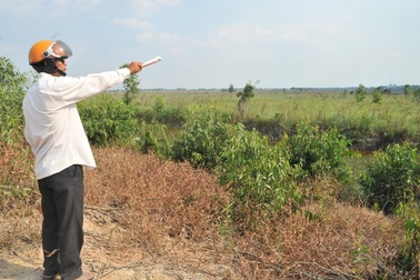 Không thu được đồng thuê đất nào của nông lâm trường quốc doanh  