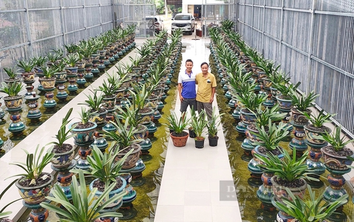 Sư thầy trồng loại lan độc lạ, giúp bếp ăn từ thiện của chùa luôn đỏ lửa - 1 Sư thầy trồng loại lan độc lạ, giúp bếp ăn từ thiện của chùa luôn đỏ lửa - 1