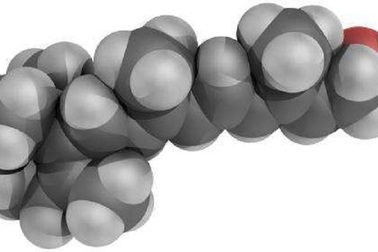 Vitamin A và C giúp xóa bộ nhớ tế bào