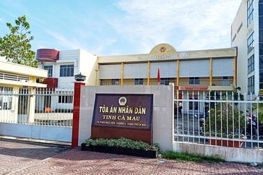 Hoãn phiên tòa dân kiện chủ tịch huyện vì bị phạt khi chặt cây xanh