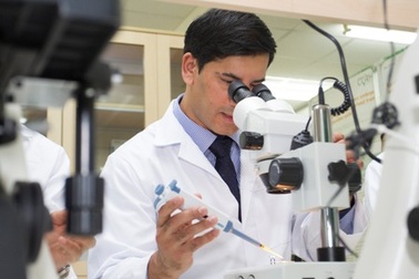 Gần 8% các cặp vợ chồng ở Việt Nam bị hiếm muộn