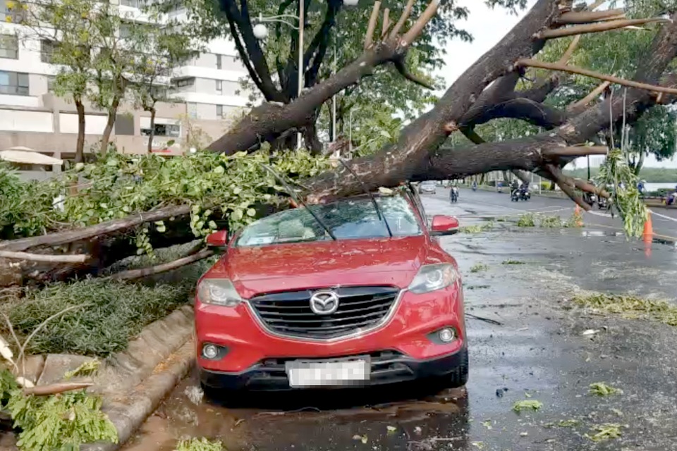 Nhiều cây đổ đè ô tô, xe máy trong cơn mưa lớn ở Sài Gòn - 3 Nhiều cây đổ đè ô tô, xe máy trong cơn mưa lớn ở Sài Gòn - 3