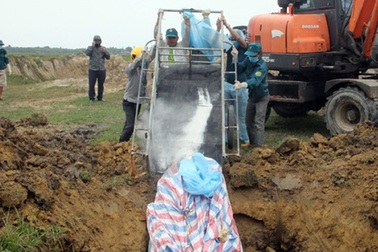 Đề nghị chấm dứt hợp đồng, thu hồi giấy phép hành nghề cán bộ thú y lơ là chống dịch tả lợn châu Phi