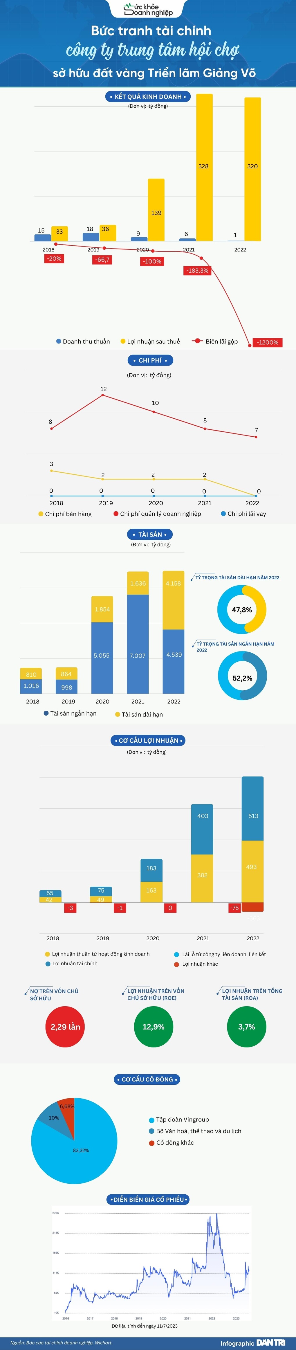 Bức tranh tài chính của công ty sở hữu đất vàng Triển lãm Giảng Võ - 1